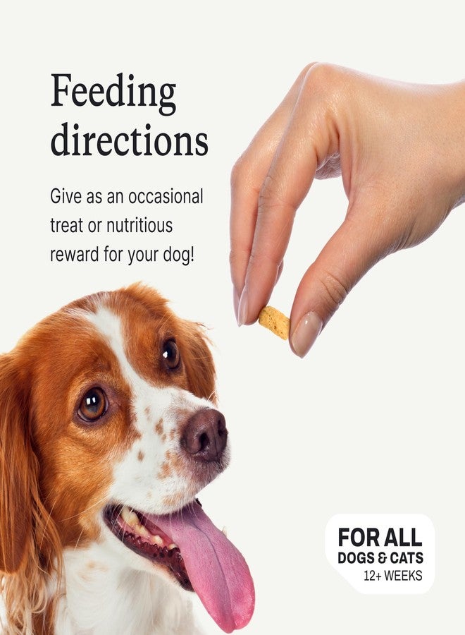Petlab Co. Wild Caught Salmon Freeze-Dried Dog Treats, Support Overall Skin Health with Healthy Dog Treats, Packed with Beneficial Fatty Acids, Vitamins, & Minerals - Packaging May Vary - Image 4